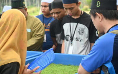 Madrasah Darul Istiqamah peroleh manfaat ilmu pertanian fertigasi rock melon dari UTM