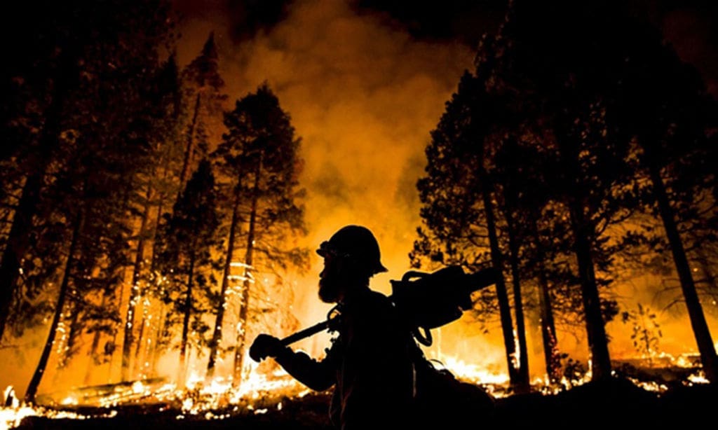 New research finds that global warming is intensifying wildfires